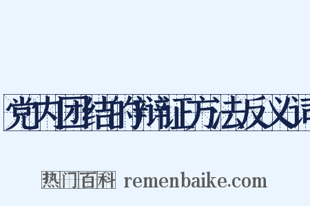 党内团结的辩证方法反义词是什么意思的图片